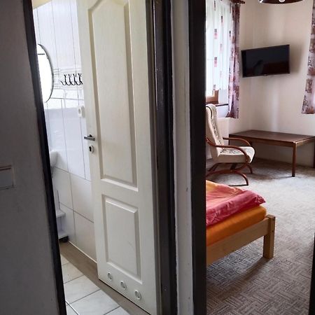 Penzion Spicak Apartment Boží Dar Exterior foto