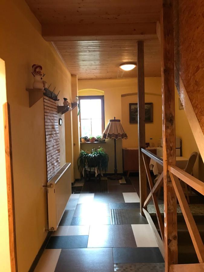 Penzion Spicak Apartment Boží Dar Exterior foto