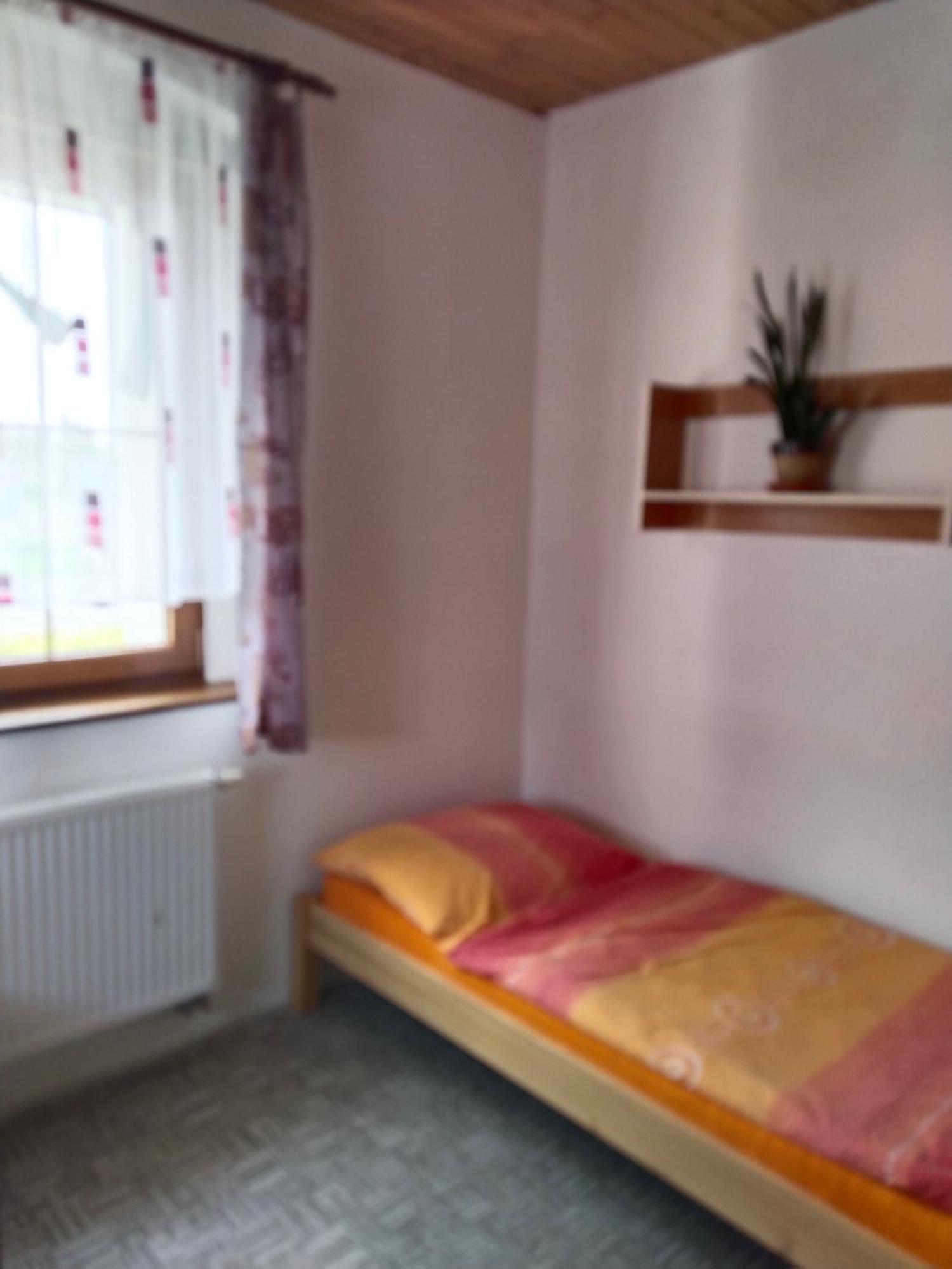 Penzion Spicak Apartment Boží Dar Exterior foto